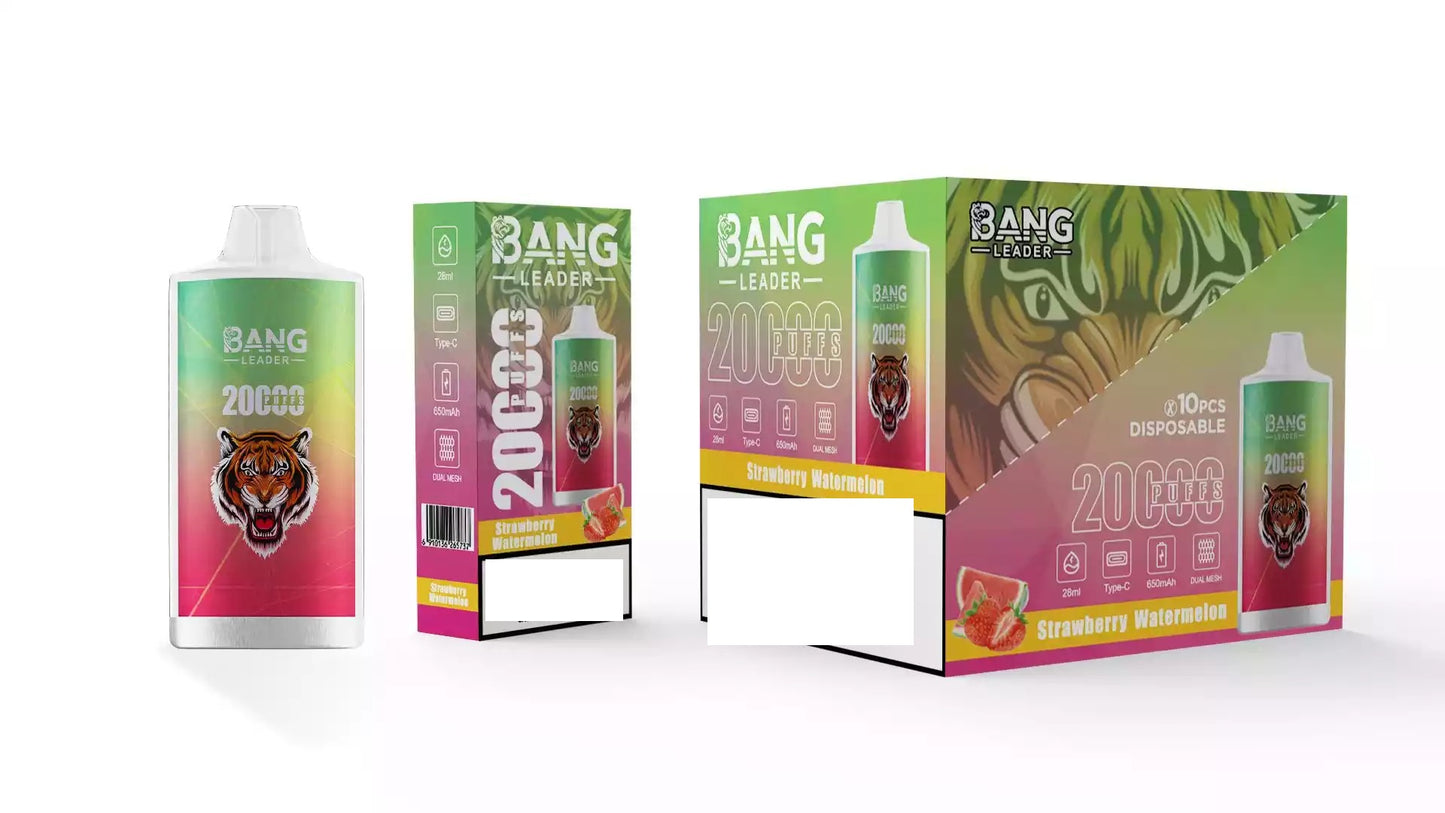BANG LEADER 20000 Puffs Bulk Buy Rechargeable Disposable Vapes Wholesale