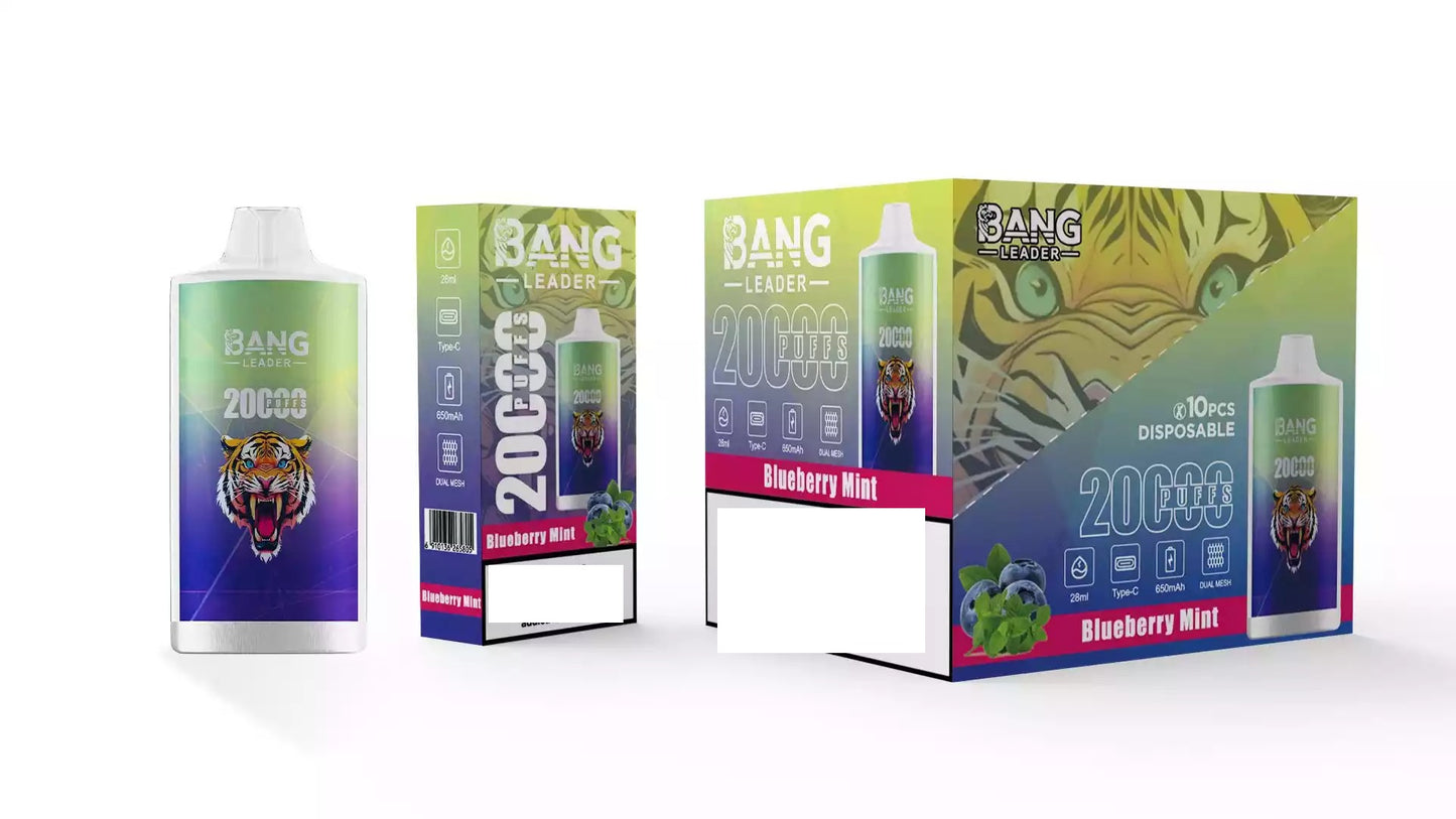 BANG LEADER 20000 Puffs Bulk Buy Rechargeable Disposable Vapes Wholesale