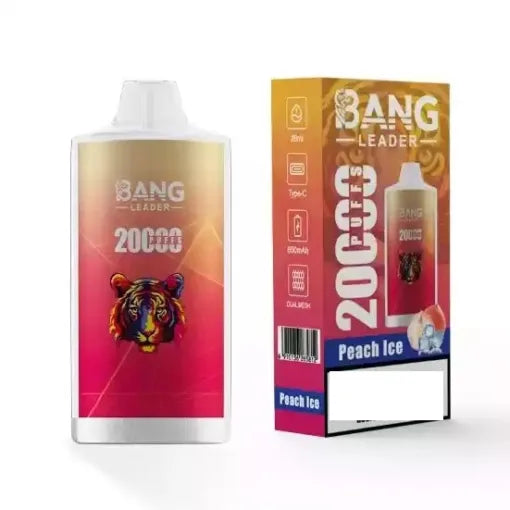 BANG LEADER 20000 Puffs Bulk Buy Rechargeable Disposable Vapes Wholesale