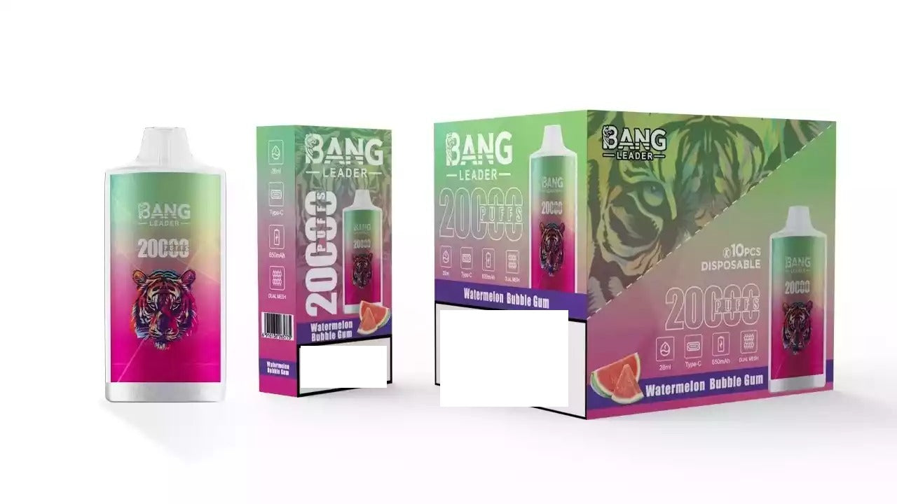 BANG LEADER 20000 Puffs Bulk Buy Rechargeable Disposable Vapes Wholesale