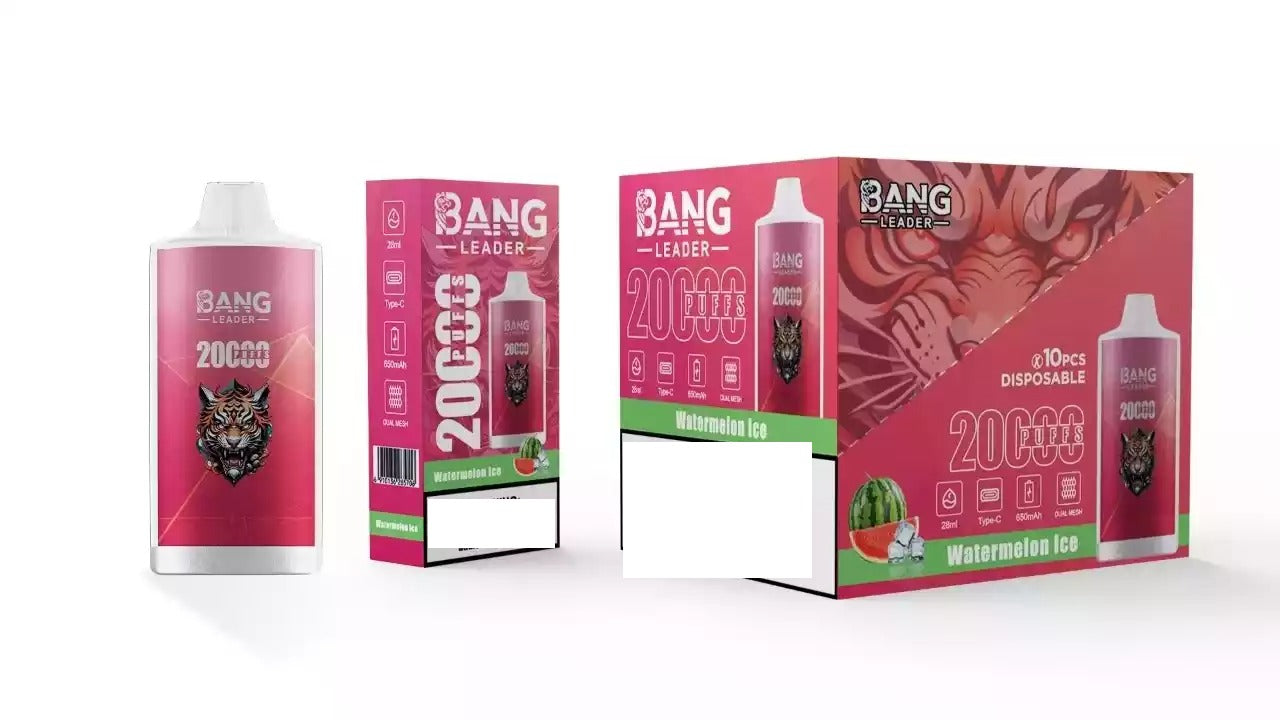 BANG LEADER 20000 Puffs Bulk Buy Rechargeable Disposable Vapes Wholesale