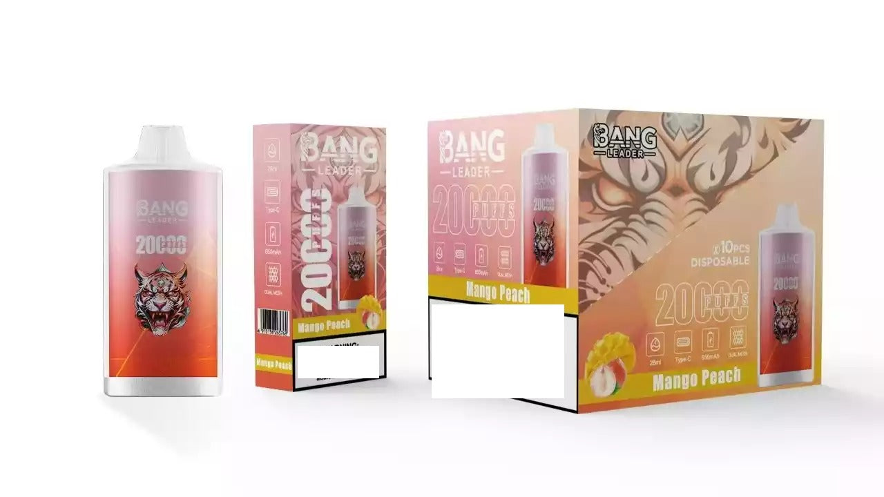 BANG LEADER 20000 Puffs Bulk Buy Rechargeable Disposable Vapes Wholesale