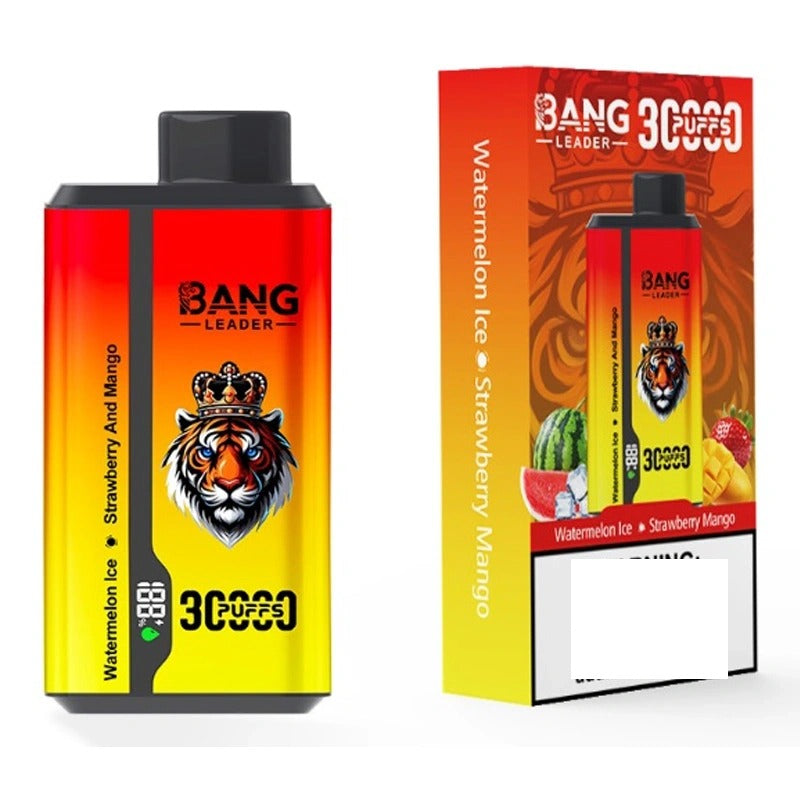 BANG LEADER 30000 Puffs Double Tastes Bulk Buy Rechargeable Disposable Vapes Wholesale