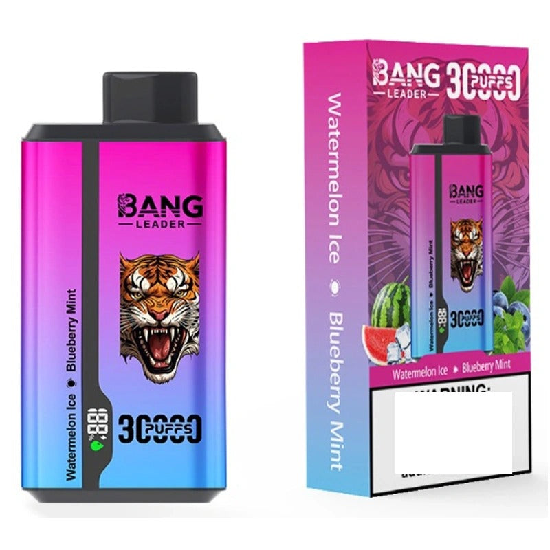 BANG LEADER 30000 Puffs Double Tastes Bulk Buy Rechargeable Disposable Vapes Wholesale