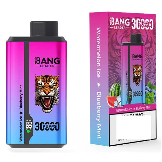 BANG LEADER 30000 Puffs Double Tastes Bulk Buy Rechargeable Disposable Vapes Wholesale