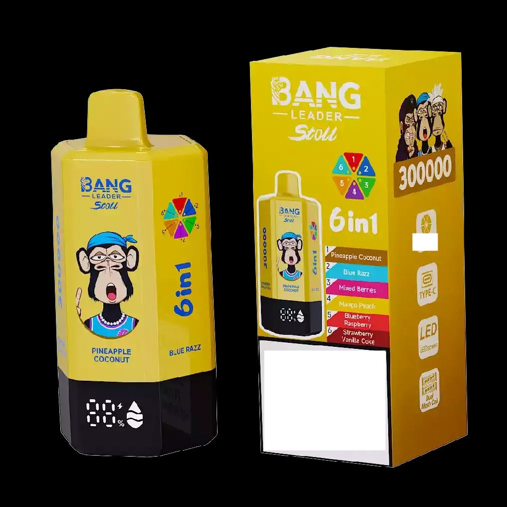 BANG LEADER STOLL 300K 300000 Puffs Rechargeable 6 in 1 Taste Disposable Vape Wholesale Bulk Buy Dual Mesh