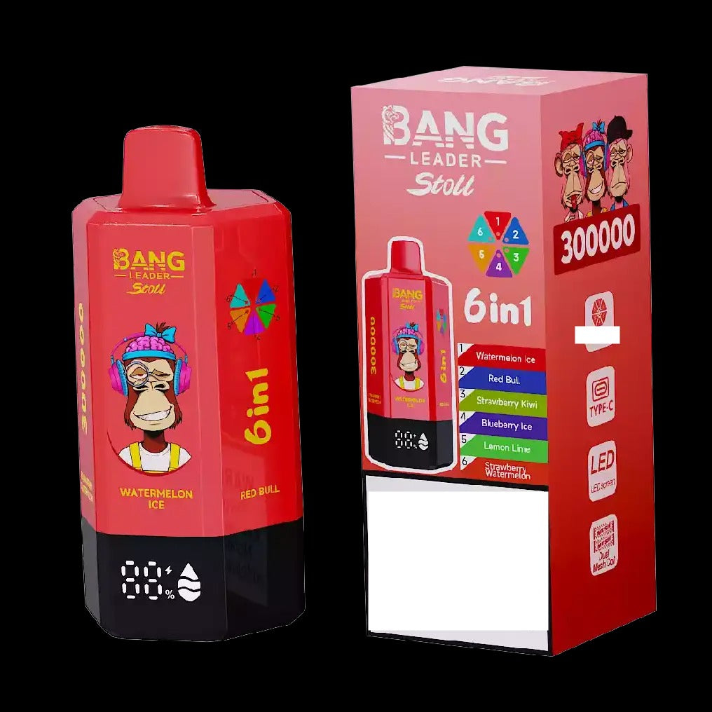 BANG LEADER STOLL 300K 300000 Puffs Rechargeable 6 in 1 Taste Disposable Vape Wholesale Bulk Buy Dual Mesh