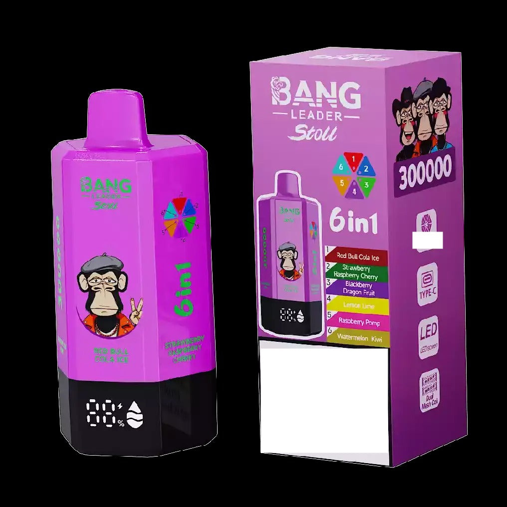 BANG LEADER STOLL 300K 300000 Puffs Rechargeable 6 in 1 Taste Disposable Vape Wholesale Bulk Buy Dual Mesh