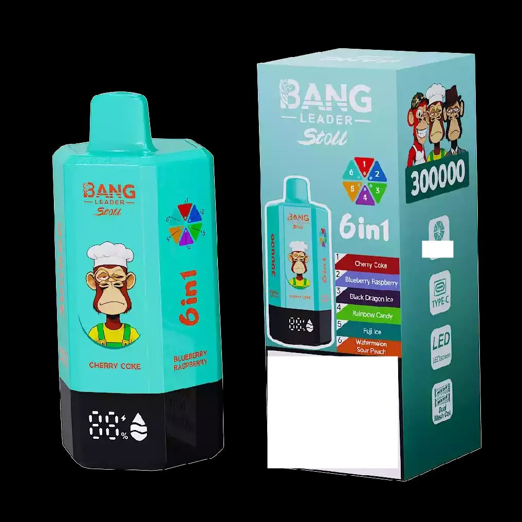 BANG LEADER STOLL 300K 300000 Puffs Rechargeable 6 in 1 Taste Disposable Vape Wholesale Bulk Buy Dual Mesh