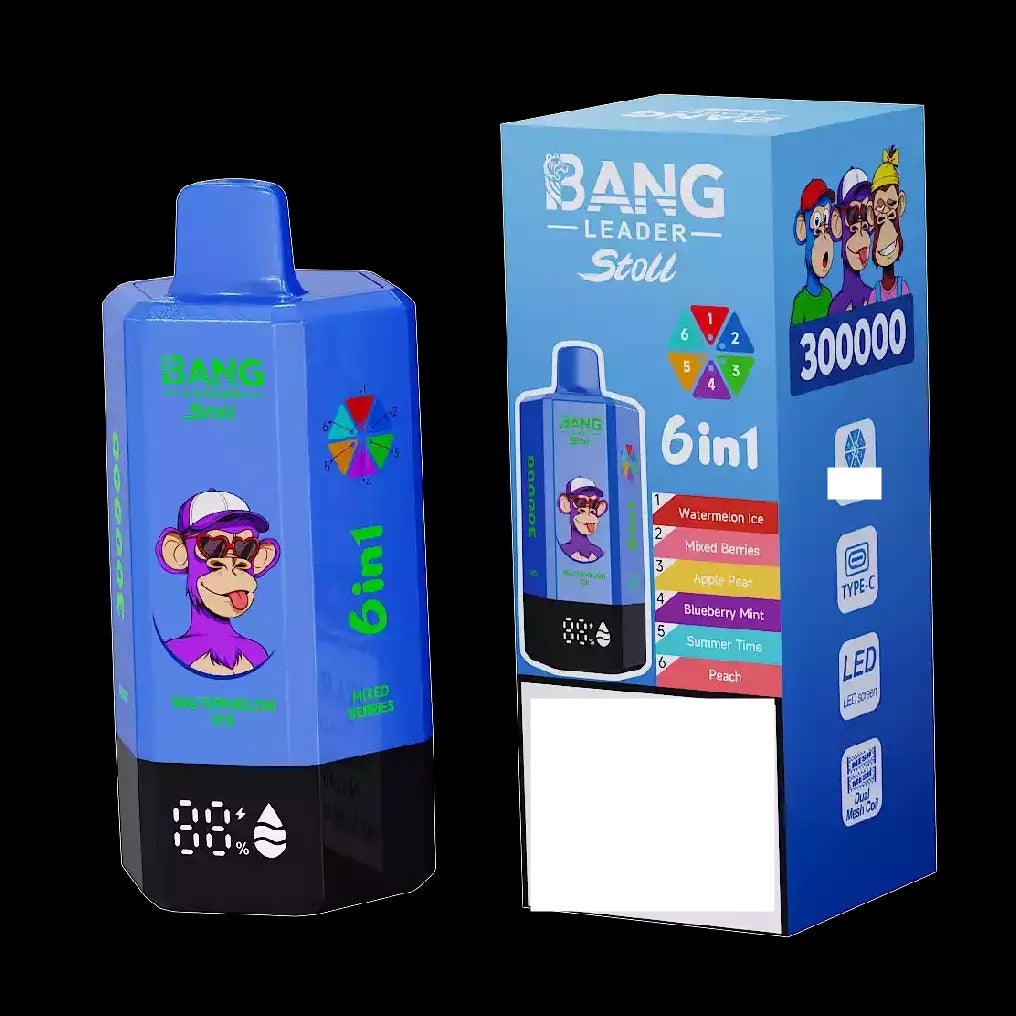 BANG LEADER STOLL 300K 300000 Puffs Rechargeable 6 in 1 Taste Disposable Vape Wholesale Bulk Buy Dual Mesh