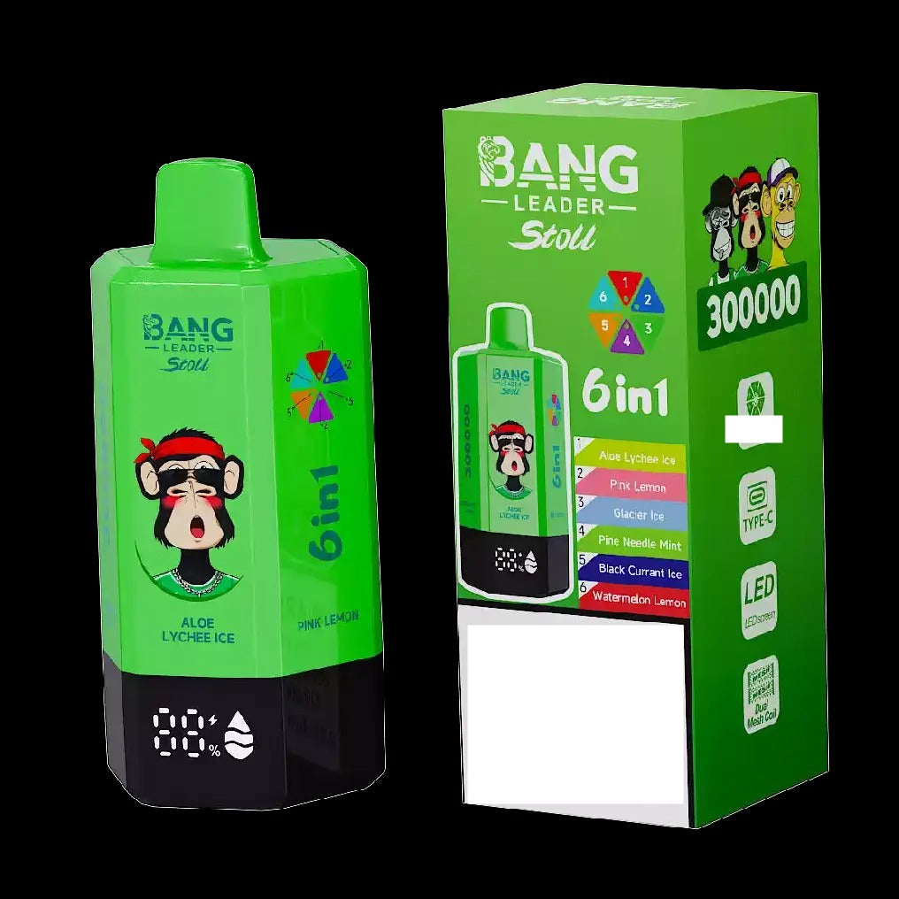 BANG LEADER STOLL 300K 300000 Puffs Rechargeable 6 in 1 Taste Disposable Vape Wholesale Bulk Buy Dual Mesh