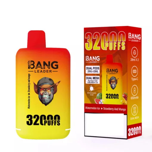 BANG LEADER 32000 Puffs Dual Tastes Bulk Buy Rechargeable Disposable Vapes Wholesale