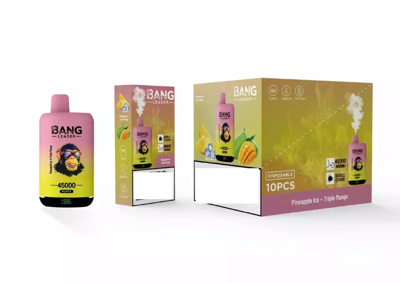 BANG LEADER 45000 Puffs Dual Tastes Bulk Buy Rechargeable Disposable Vapes Wholesale