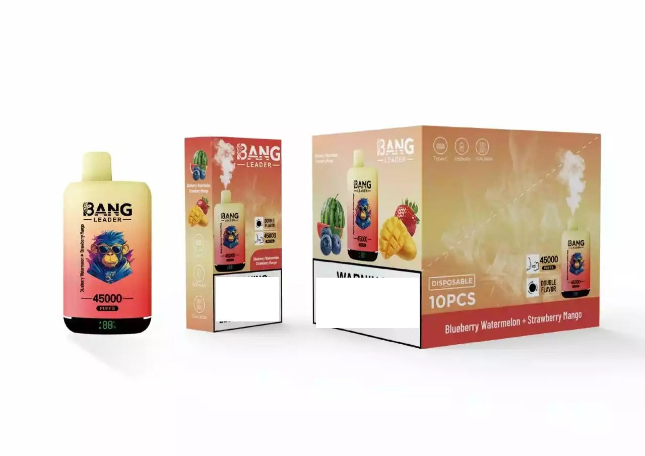 BANG LEADER 45000 Puffs Dual Tastes Bulk Buy Rechargeable Disposable Vapes Wholesale