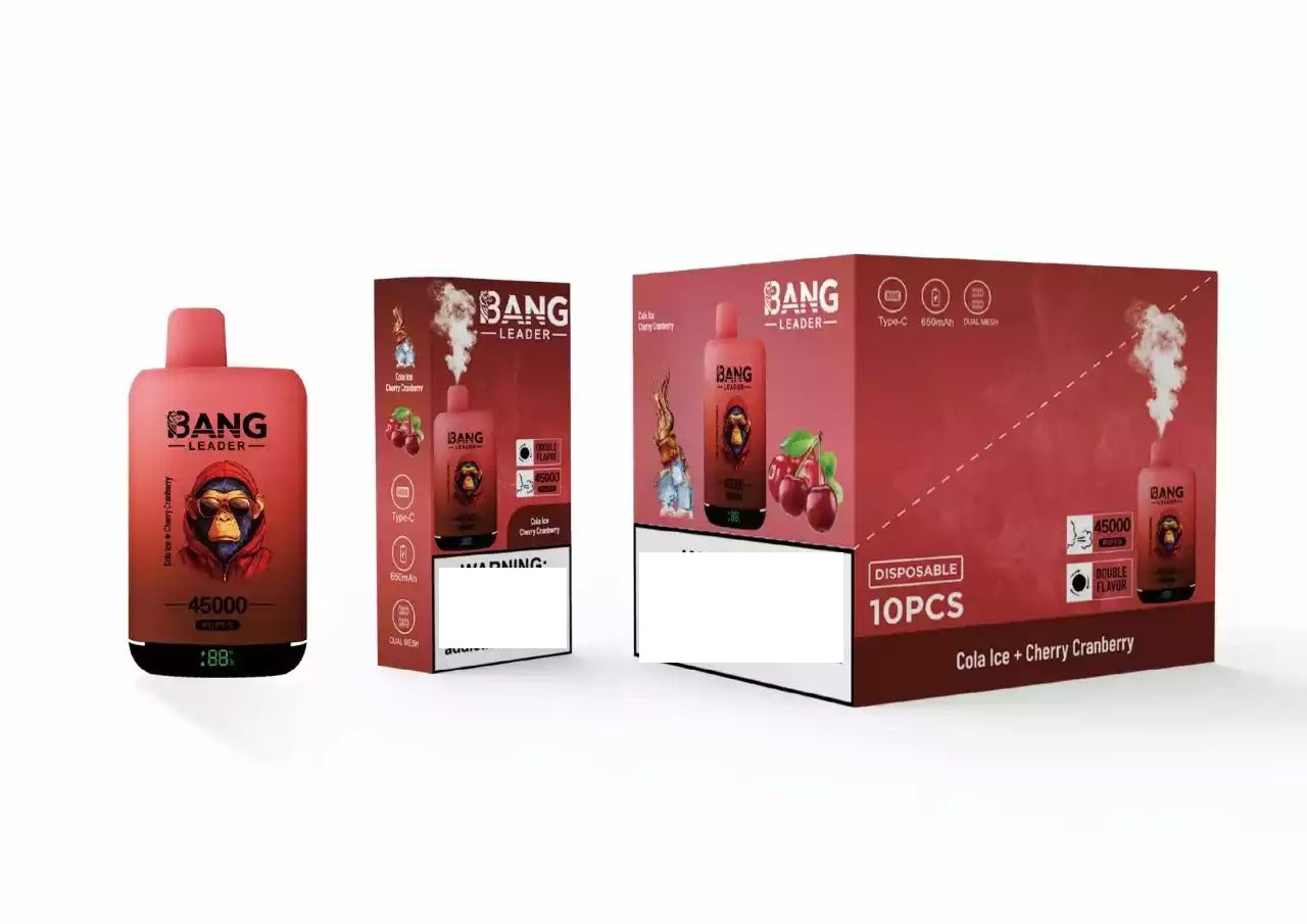 BANG LEADER 45000 Puffs Dual Tastes Bulk Buy Rechargeable Disposable Vapes Wholesale