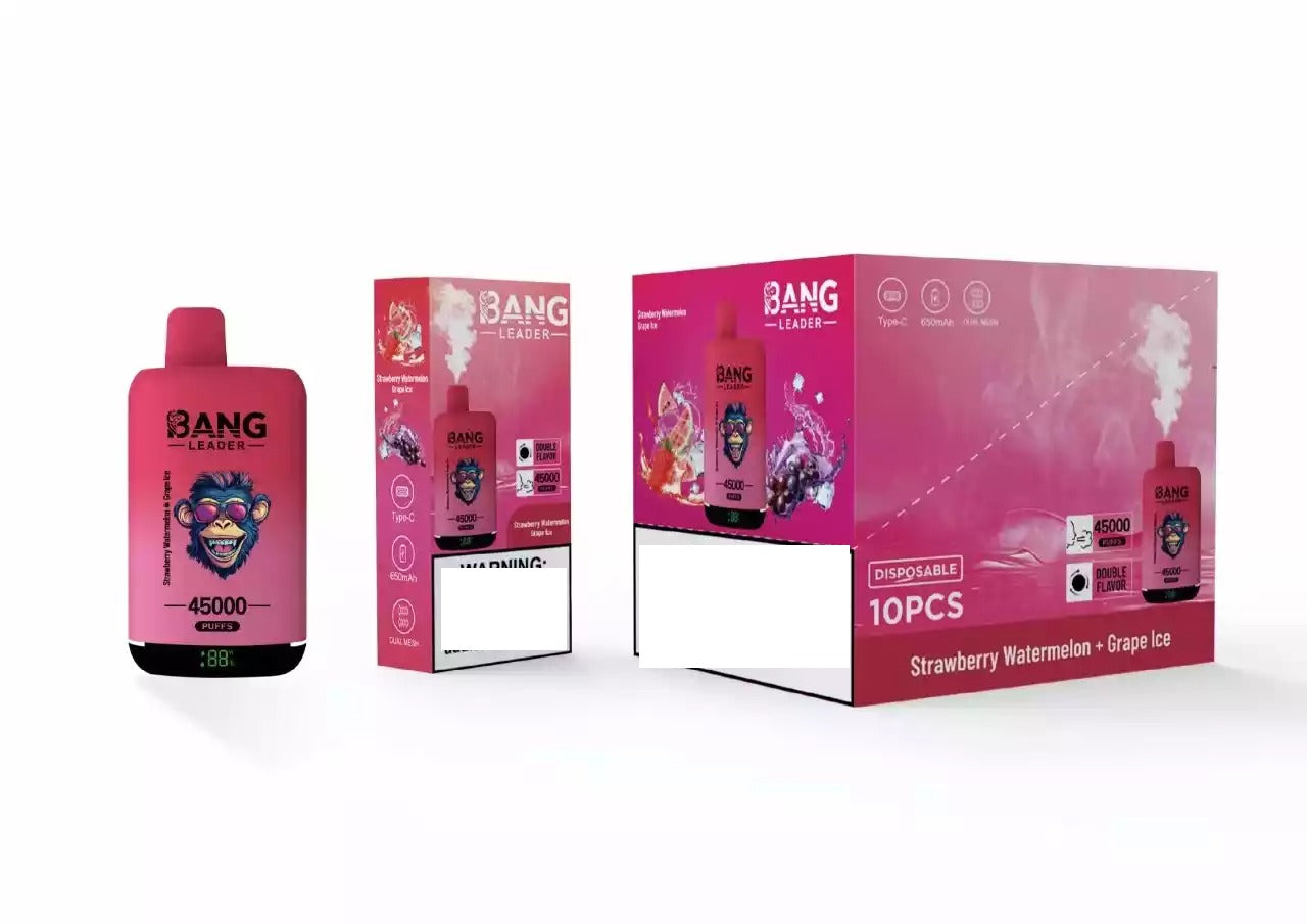BANG LEADER 45000 Puffs Dual Tastes Bulk Buy Rechargeable Disposable Vapes Wholesale