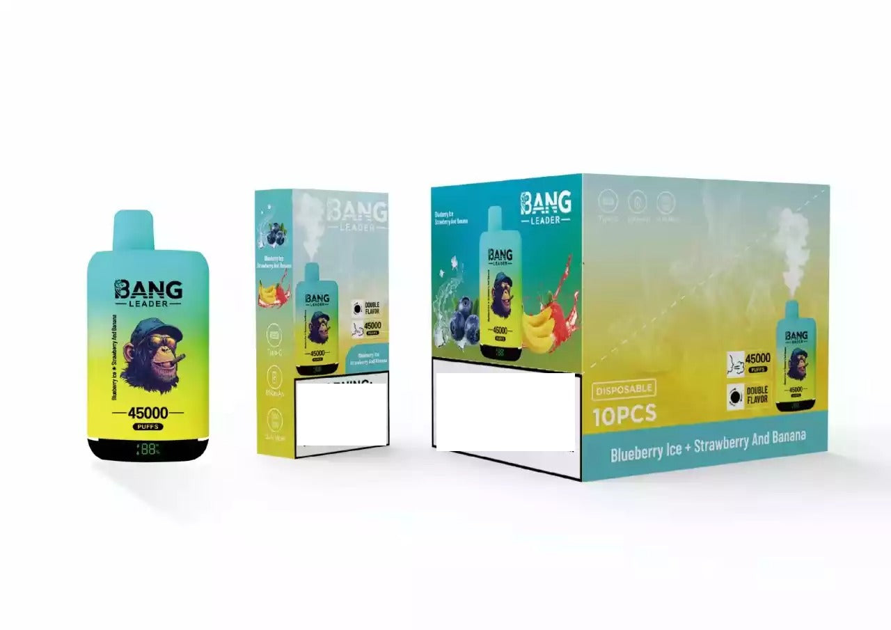 BANG LEADER 45000 Puffs Dual Tastes Bulk Buy Rechargeable Disposable Vapes Wholesale