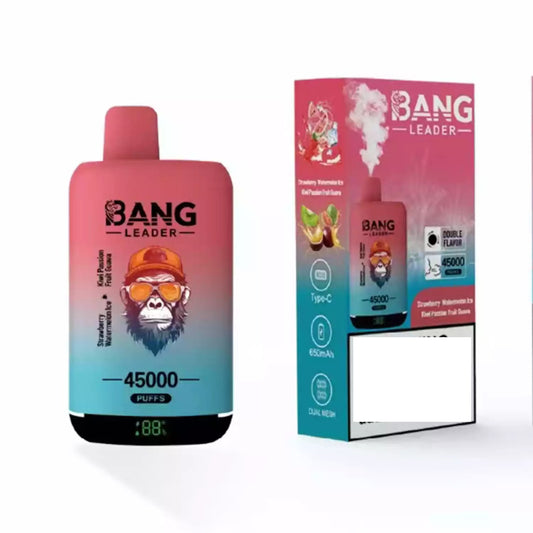 BANG LEADER 45000 Puffs Dual Tastes Bulk Buy Rechargeable Disposable Vapes Wholesale