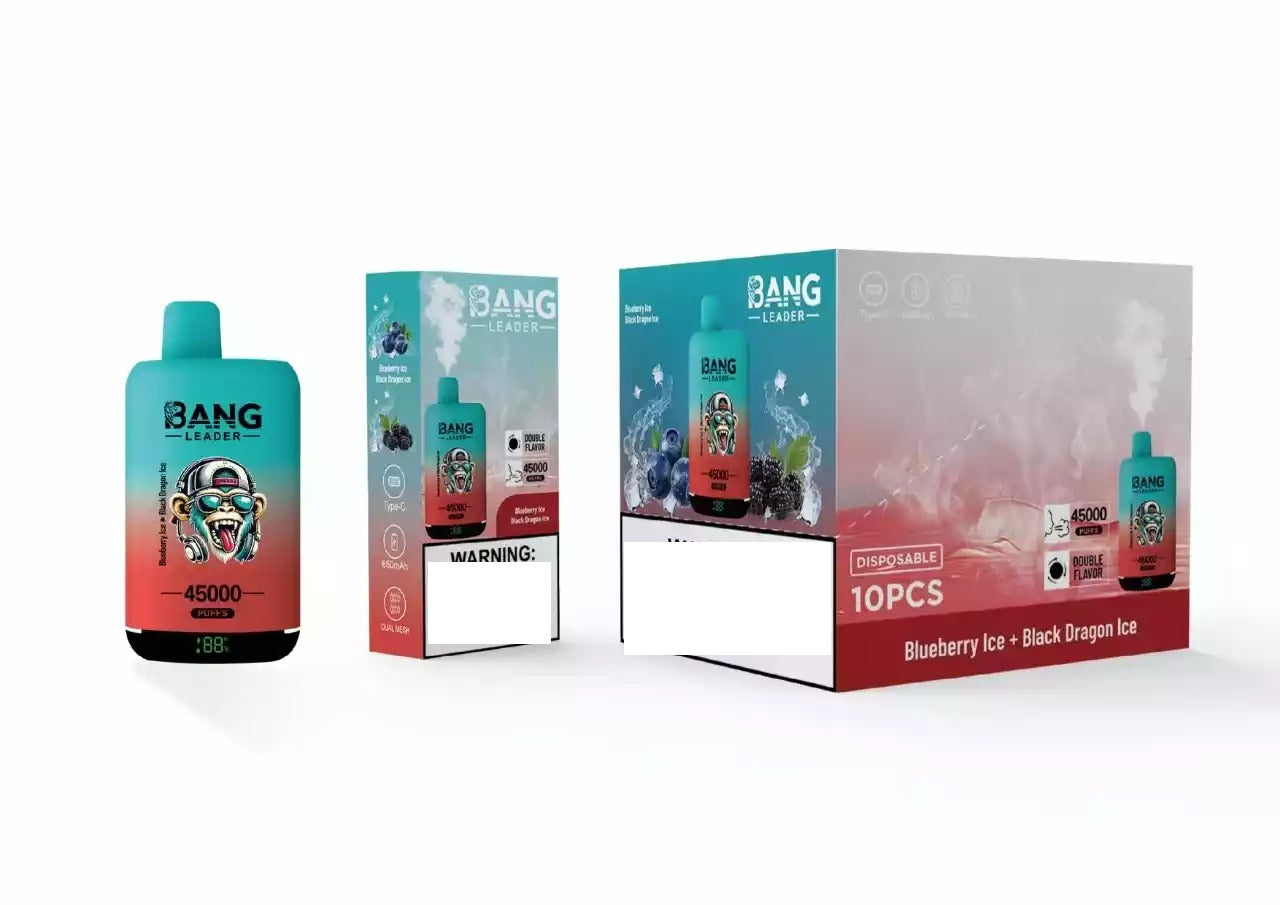 BANG LEADER 45000 Puffs Dual Tastes Bulk Buy Rechargeable Disposable Vapes Wholesale