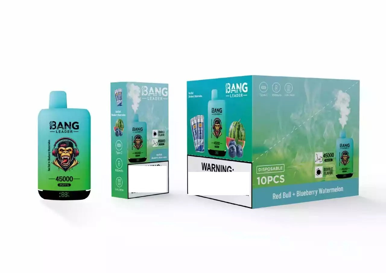 BANG LEADER 45000 Puffs Dual Tastes Bulk Buy Rechargeable Disposable Vapes Wholesale