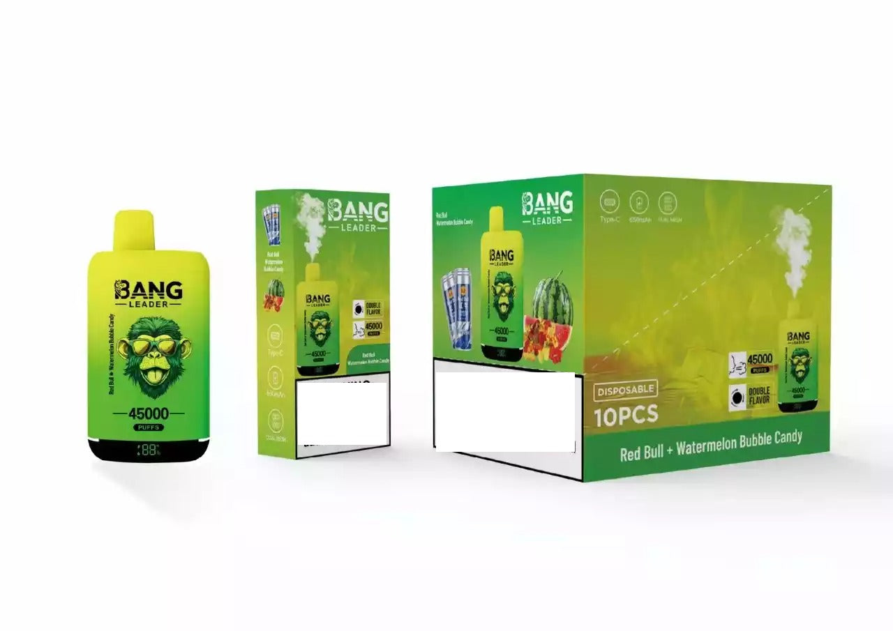 BANG LEADER 45000 Puffs Dual Tastes Bulk Buy Rechargeable Disposable Vapes Wholesale