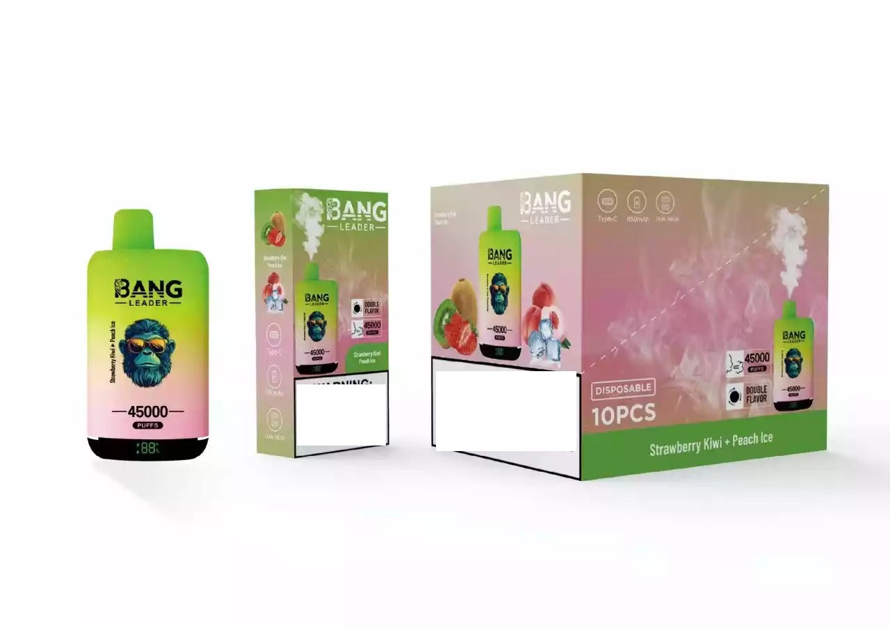BANG LEADER 45000 Puffs Dual Tastes Bulk Buy Rechargeable Disposable Vapes Wholesale