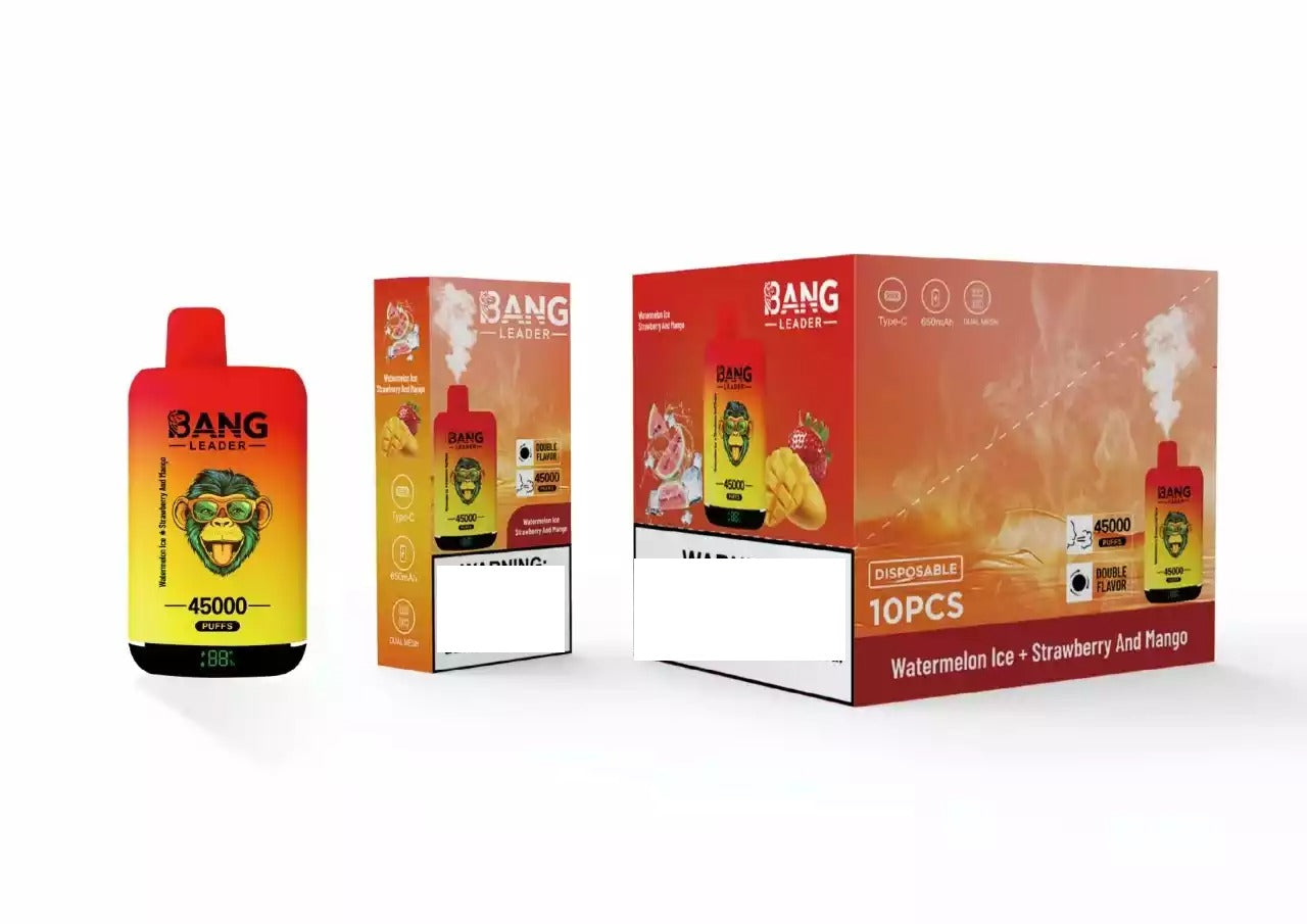 BANG LEADER 45000 Puffs Dual Tastes Bulk Buy Rechargeable Disposable Vapes Wholesale