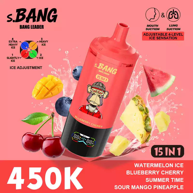 BANG LEADER 450000 Puffs 15 in 1 Taste 450K Disposable Vapes MTL DTL Dual Mode Wholesale Bulk Buy