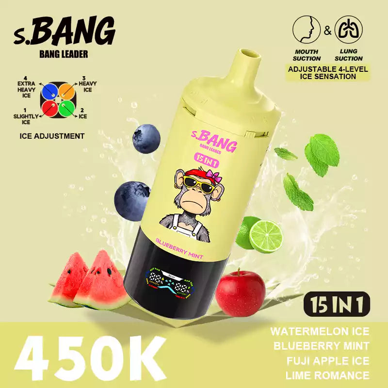 BANG LEADER 450000 Puffs 15 in 1 Taste 450K Disposable Vapes MTL DTL Dual Mode Wholesale Bulk Buy
