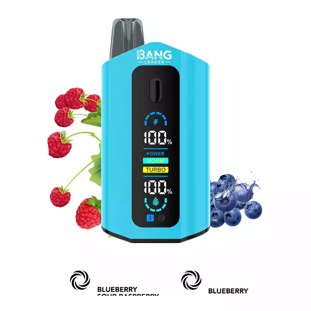 BANG LEADER 50000 Puffs Dual Tastes LCD Screen Bulk Buy Rechargeable Disposable Vapes Wholesale