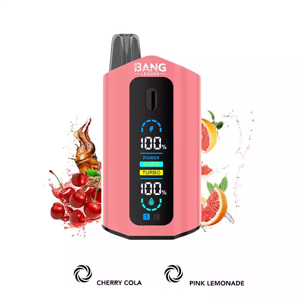 BANG LEADER 50000 Puffs Dual Tastes LCD Screen Bulk Buy Rechargeable Disposable Vapes Wholesale