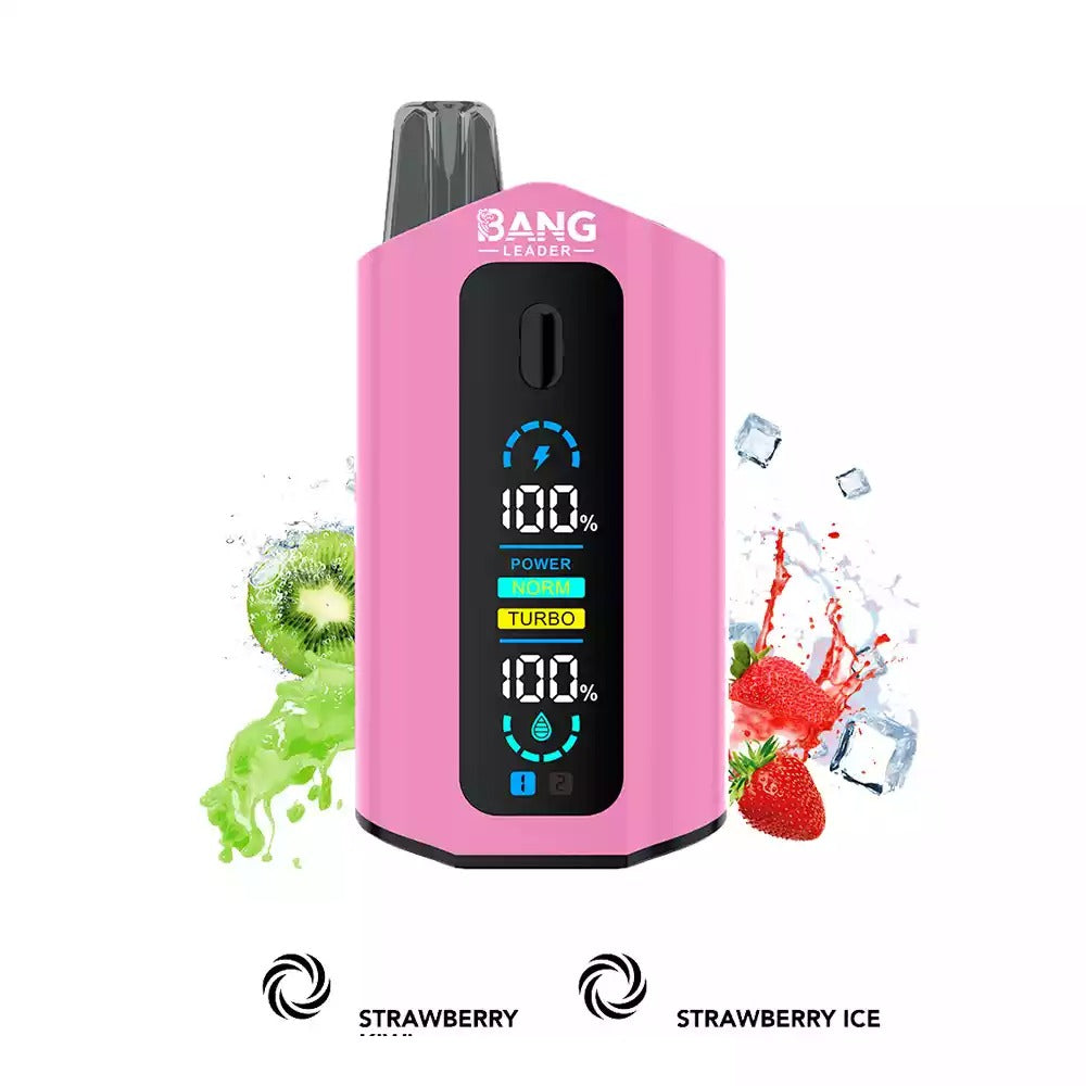 BANG LEADER 50000 Puffs Dual Tastes LCD Screen Bulk Buy Rechargeable Disposable Vapes Wholesale