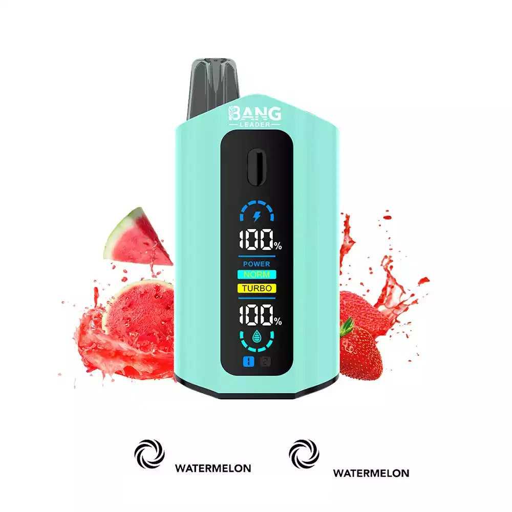 BANG LEADER 50000 Puffs Dual Tastes LCD Screen Bulk Buy Rechargeable Disposable Vapes Wholesale