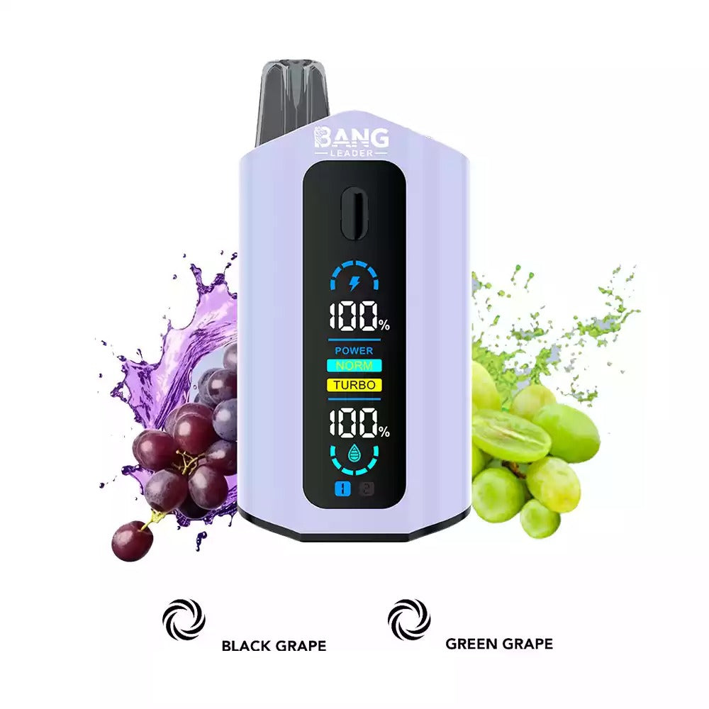 BANG LEADER 50000 Puffs Dual Tastes LCD Screen Bulk Buy Rechargeable Disposable Vapes Wholesale