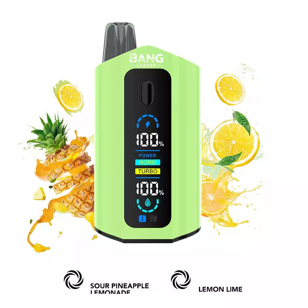 BANG LEADER 50000 Puffs Dual Tastes LCD Screen Bulk Buy Rechargeable Disposable Vapes Wholesale
