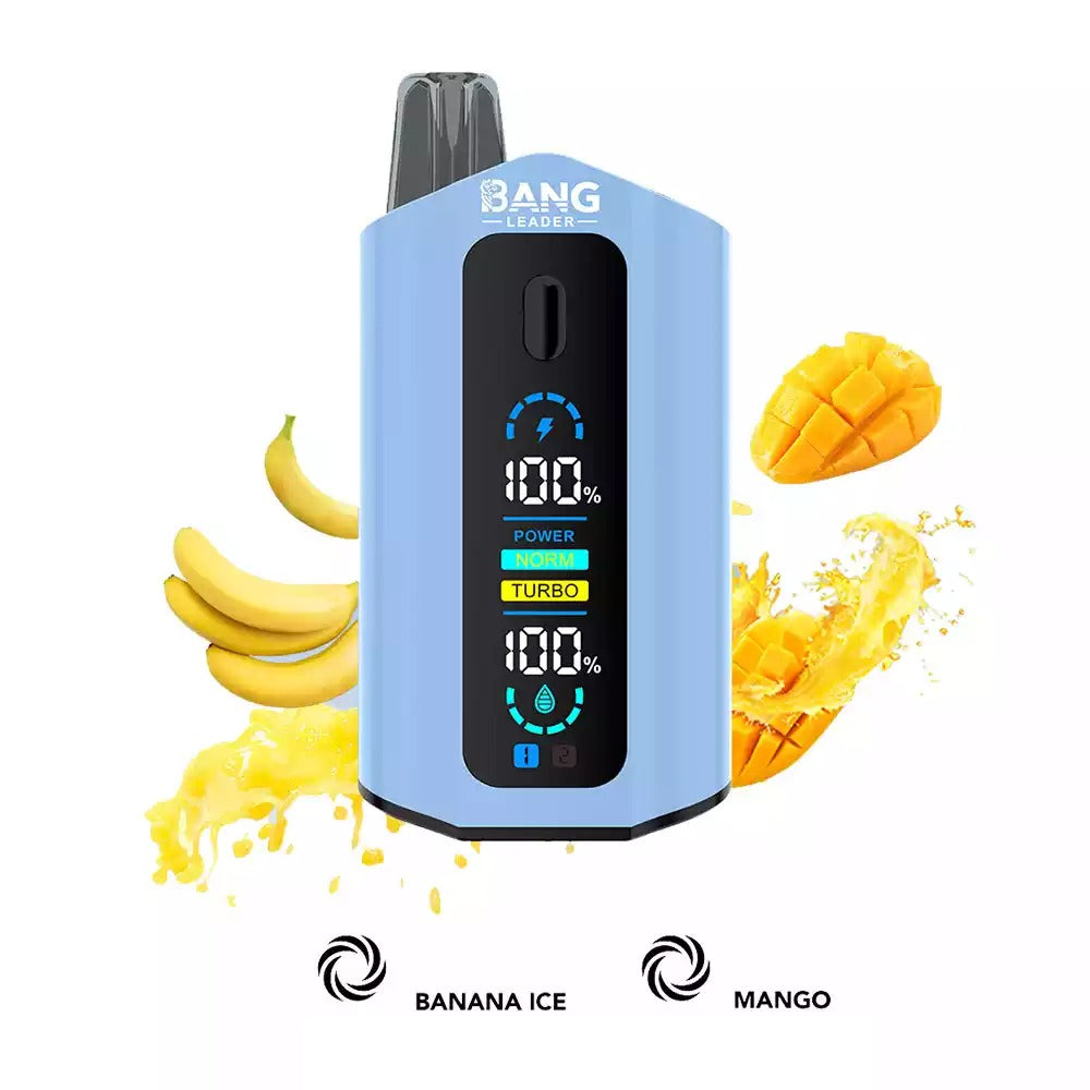 BANG LEADER 50000 Puffs Dual Tastes LCD Screen Bulk Buy Rechargeable Disposable Vapes Wholesale