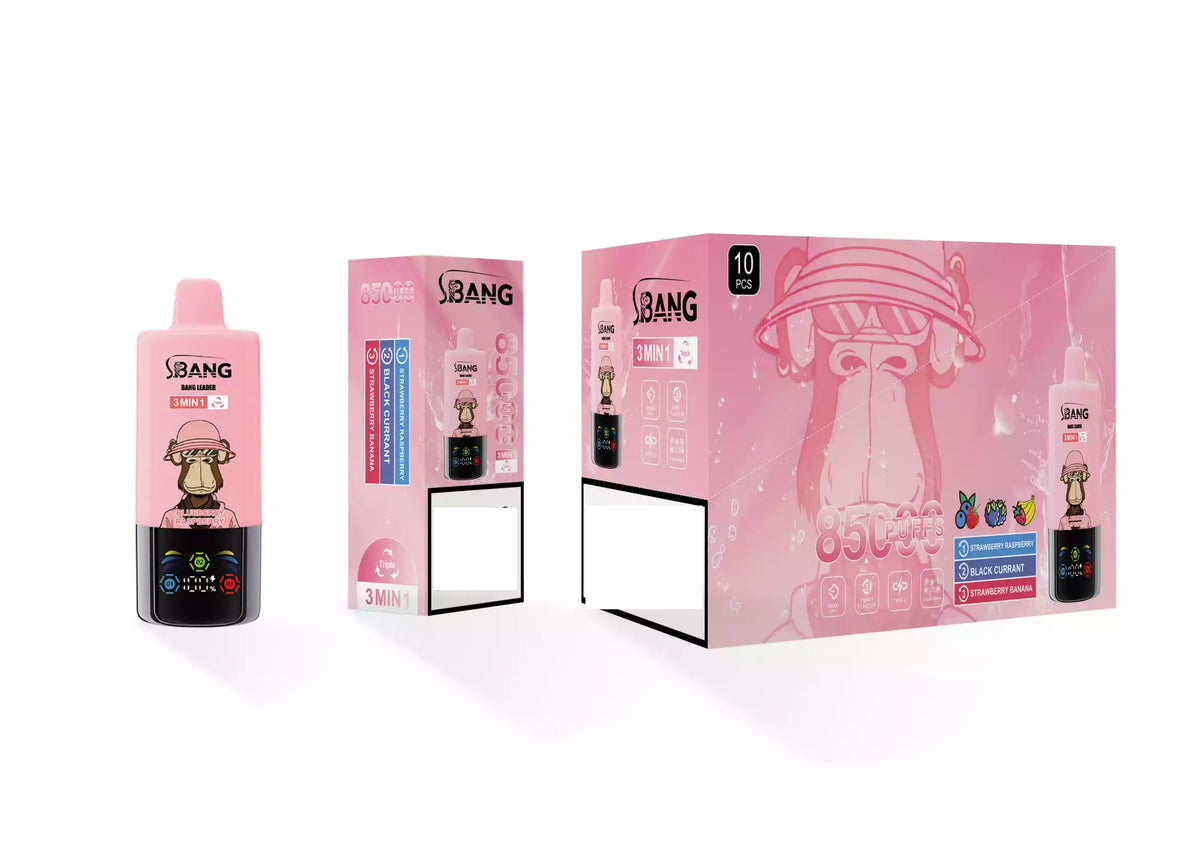 BANG LEADER 85000 Puffs 3 Tastes Bulk Buy Rechargeable Disposable Vapes Wholesale