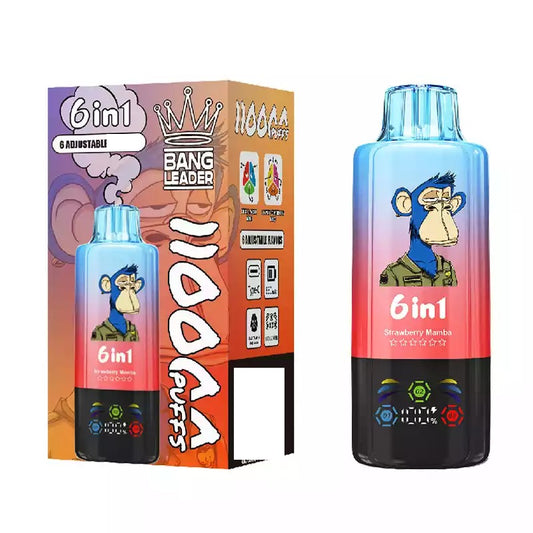 BANG LEADER 110000 Puffs Disposable Vape Bulk Buy 6-in-1 Taste 110K Rechargeable Wholesale