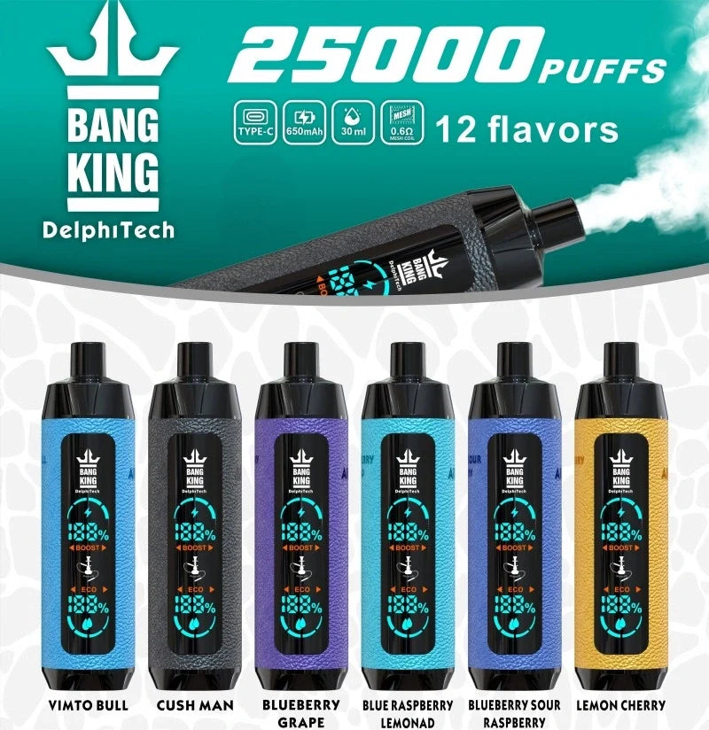 BangKing 25000 E-shisha Wholesale Discount Price Best Sale-850mAh Battery. 40ml E-liquid. Multiple Nicotine 12 Flavors