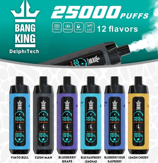 BangKing 25000 E-shisha Wholesale Discount Price Best Sale-850mAh Battery. 40ml E-liquid. Multiple Nicotine 12 Flavors