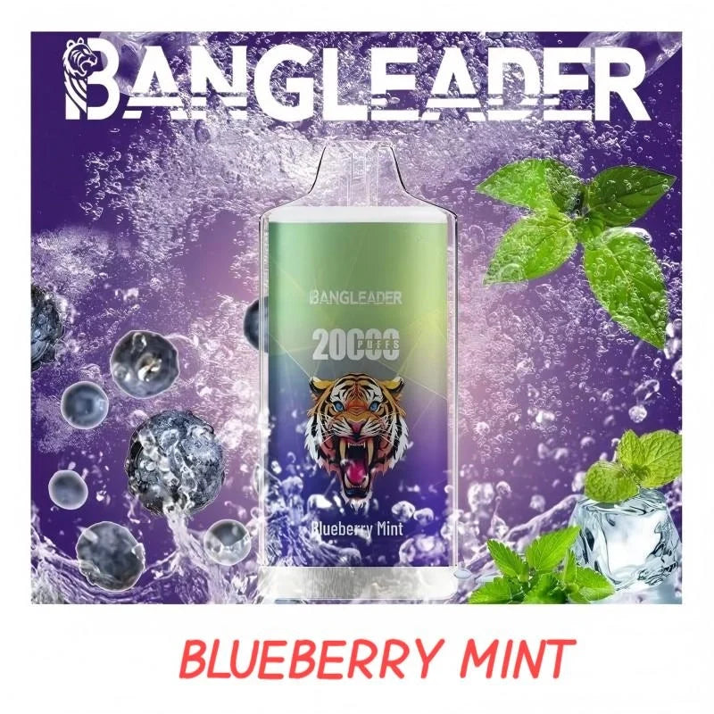 BANGLEADER 20000 PUFFS Crystal Vape Discount Sale Bulk Price-650mAh Battery.28ml E-liquid. Multiple Nicotine 12 Flavors