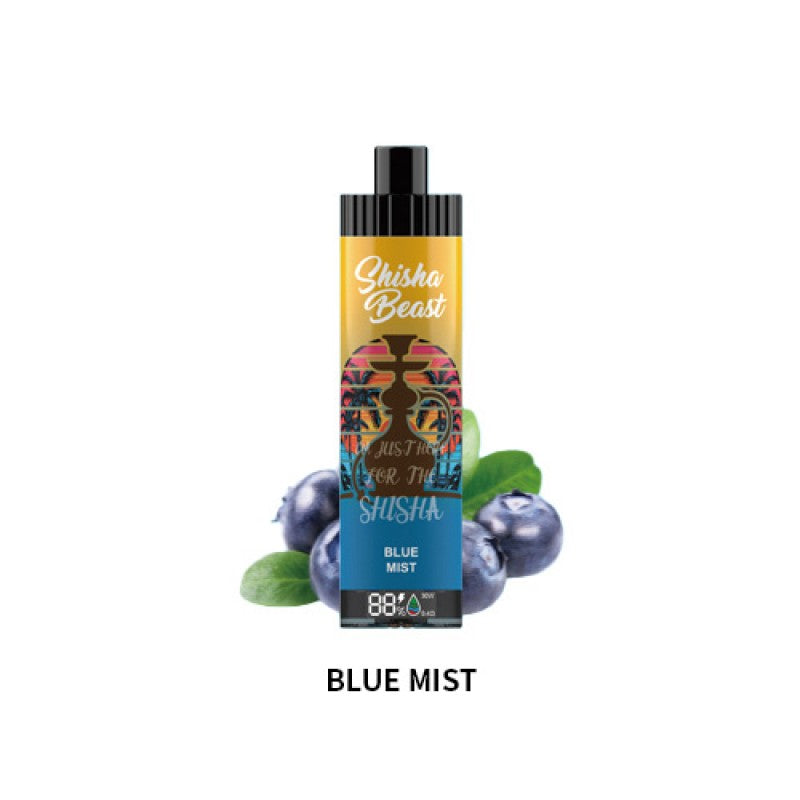 RandM Shisha Beast 20K Einweg-E-Zigarette 26 ml