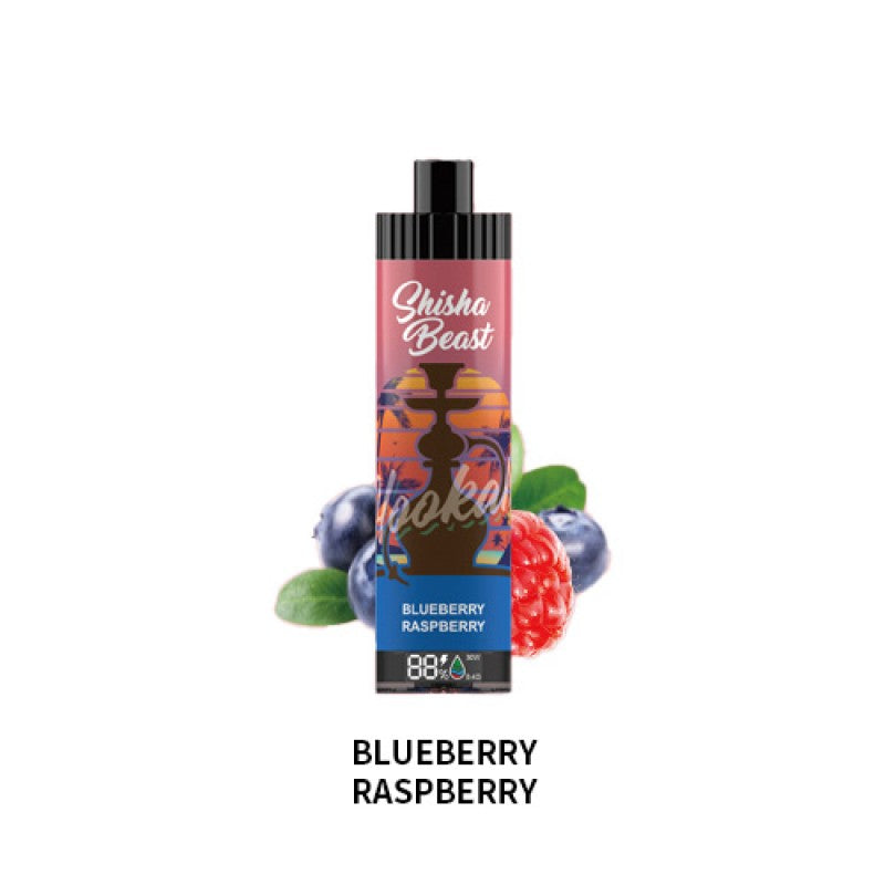 RandM Shisha Beast 20K Einweg-E-Zigarette 26 ml