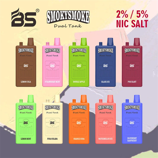 Innovative elektronische Zigarette BS Smokysm 16000 Puffs Dual Mesh Coil Einweg-Vape (2024) 