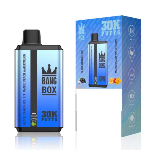 BANG BOX 30000 Puffs Double Tastes Bulk Buy Rechargeable Disposable Vapes Wholesale