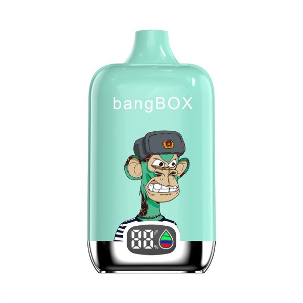 2024 NEW E-Cigarettes is BANG KING 15000 25ML Cigarette Oil Capacity 650mAh