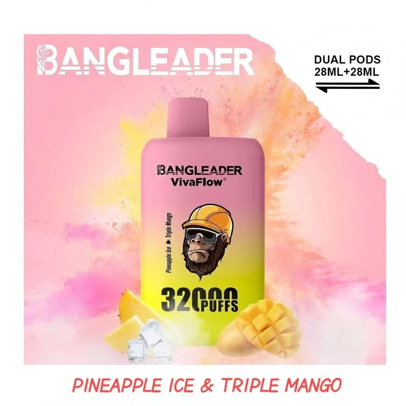 BANGLEADER 32000 PUFFS DUAL FLAVORS Vape Good Sale Discount Price-650mAh Battery. 28ml E-liquid. Multiple Nicotine 12 Flavors