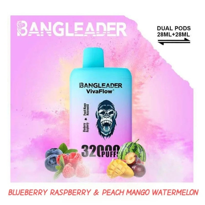 BANGLEADER 32000 PUFFS DUAL FLAVORS Vape Good Sale Discount Price-650mAh Battery. 28ml E-liquid. Multiple Nicotine 12 Flavors