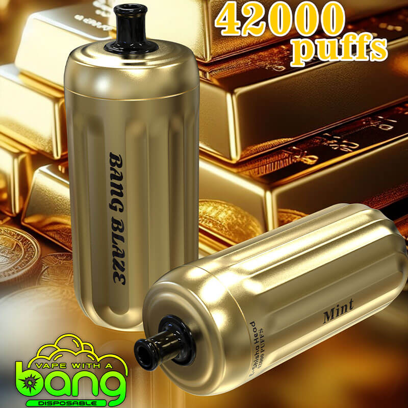 Bang Blaze E-Shisha Head 42000 - 30ml E-Liquid. 1000mAh Battery 12 Flavors