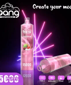 Bang 15000 Puffs Vape 15K Disposable Vape Pen E Cigarette Prefilled 25ml 600mAh Disposable Vape 12 Flavors